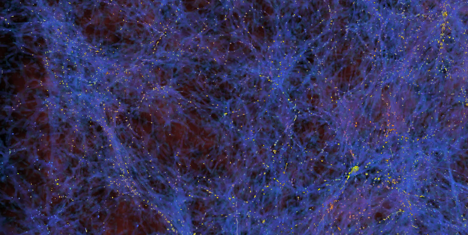 Os astrônomos encontraram uma “muralha” gigante de galáxias escondida à vista de todos