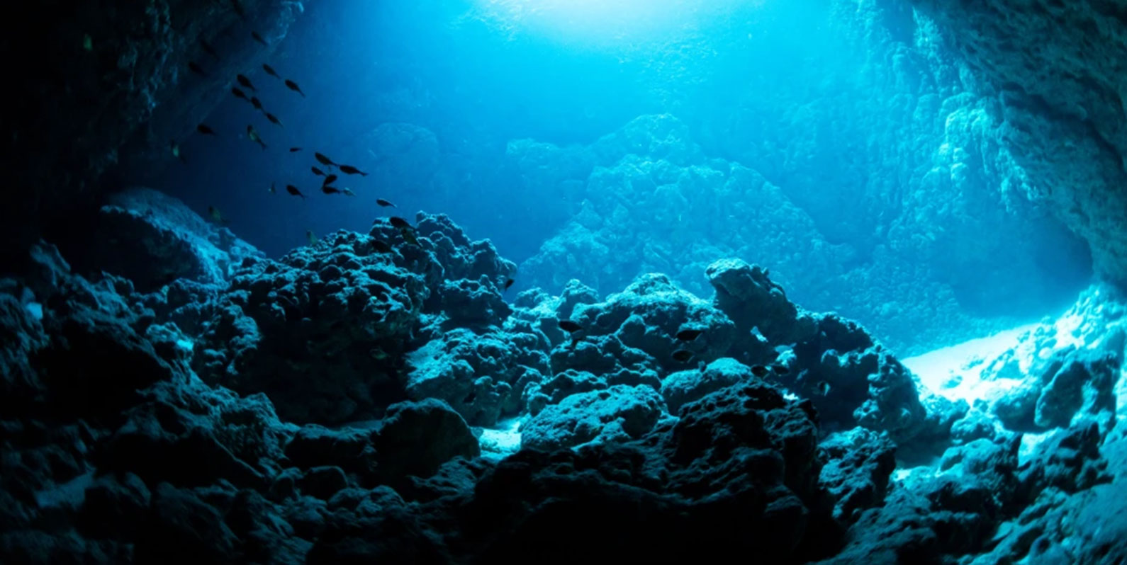 Por que usar os oceanos para absorver CO2 pode não ser tão fácil quanto o esperado