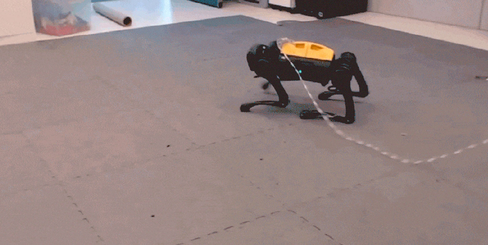 Cão-robô aprende sozinho a andar