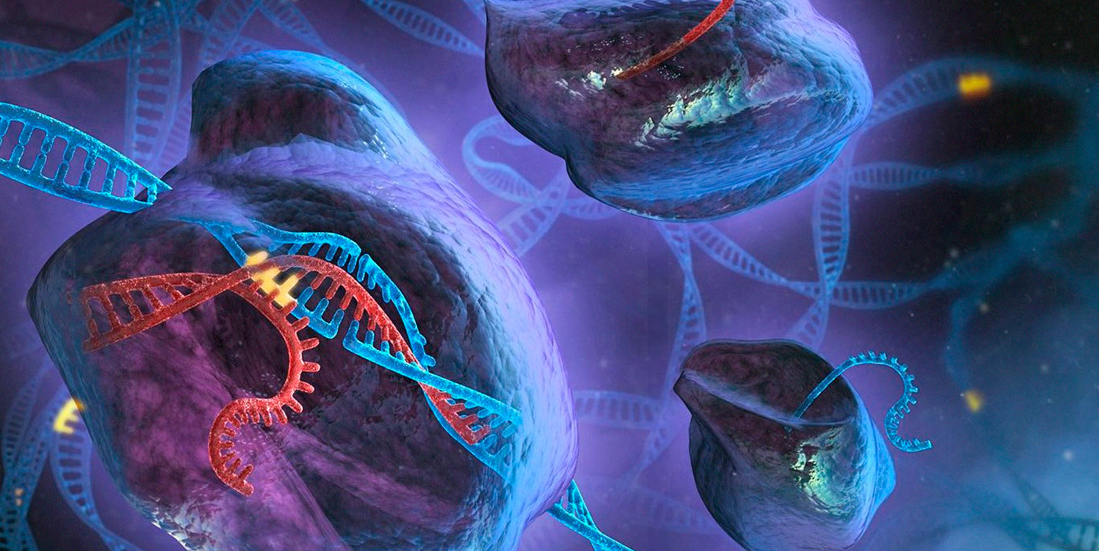 A genômica está mais presente no cotidiano do que se pode imaginar