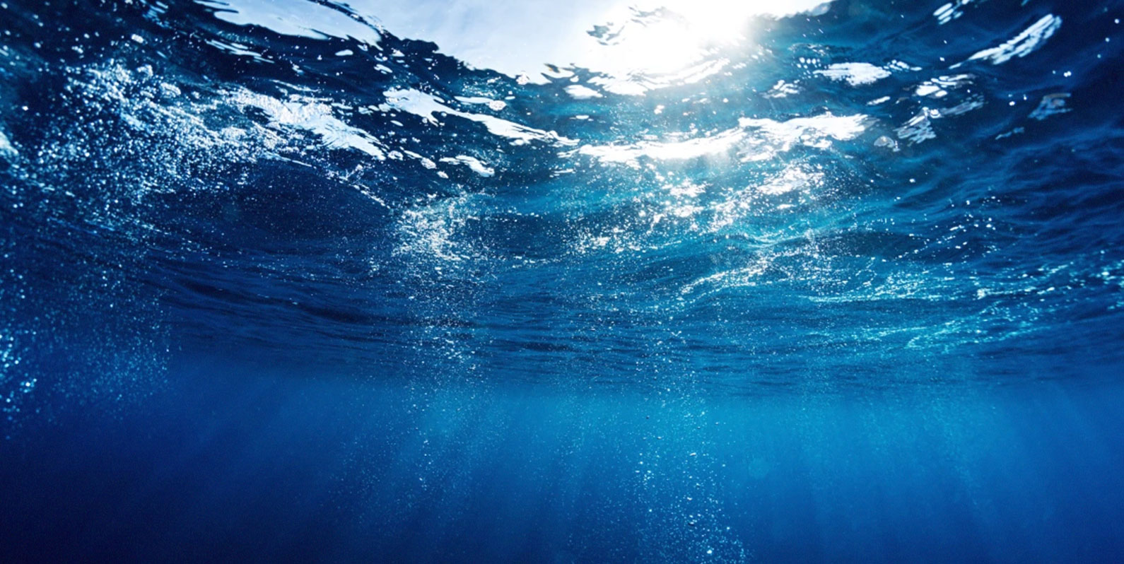 O novo projeto de US$ 50 milhões do ex-CTO da Meta envolve a remoção de carbono no oceano