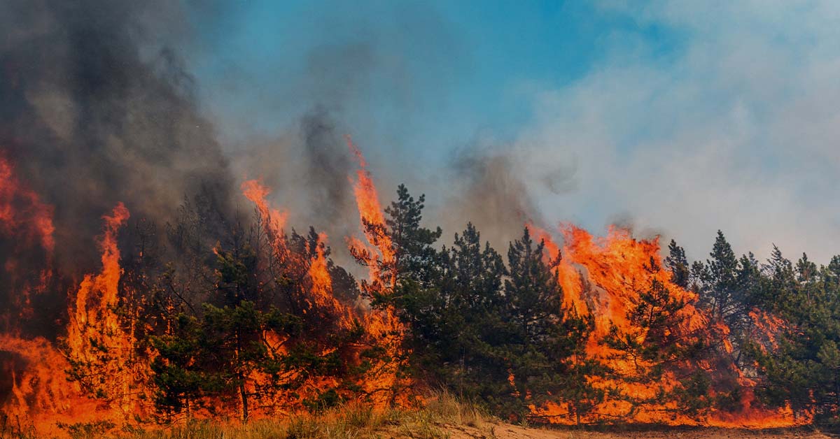 Incêndios florestais de 2023 no Canadá emitiram mais poluentes que a maioria dos países