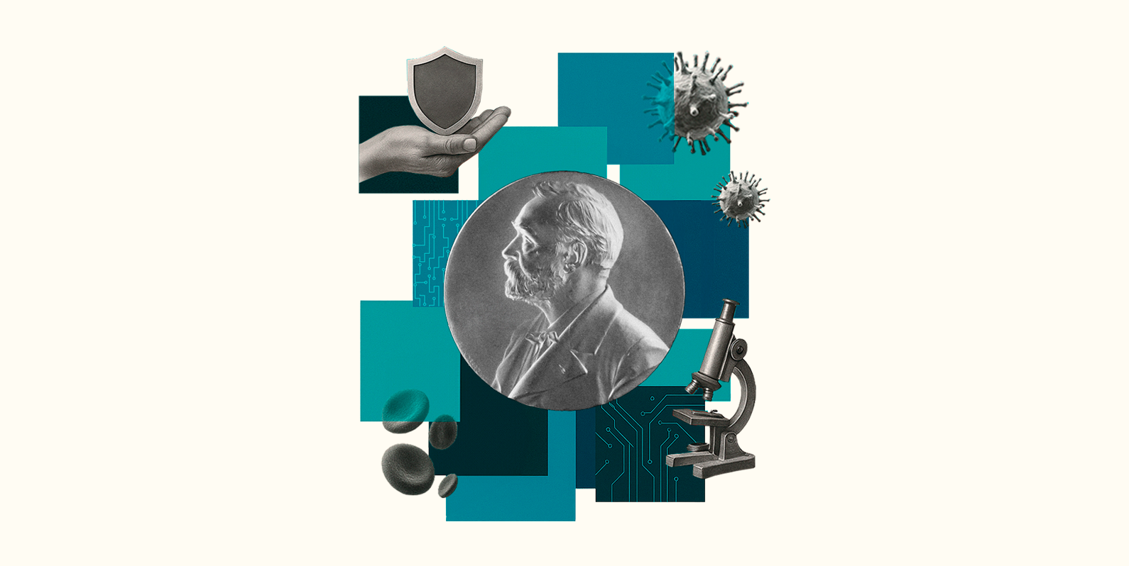 Nobel de Medicina: a ciência por trás do sistema imune