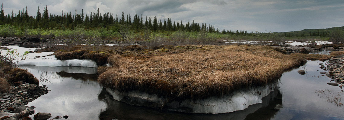 Cientistas podem ver, do espaço, o permafrost da Terra descongelando