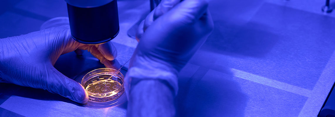 Os anúncios que vendem o fascínio da discriminação por características genéticas