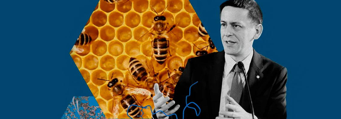 O que vem a seguir para o AlphaFold: o sistema de IA do Google DeepMind