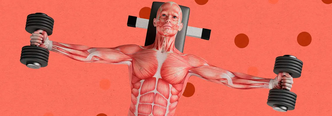 Esta empresa está desenvolvendo terapias gênicas para crescimento muscular, disfunção erétil e ‘longevidade radical’