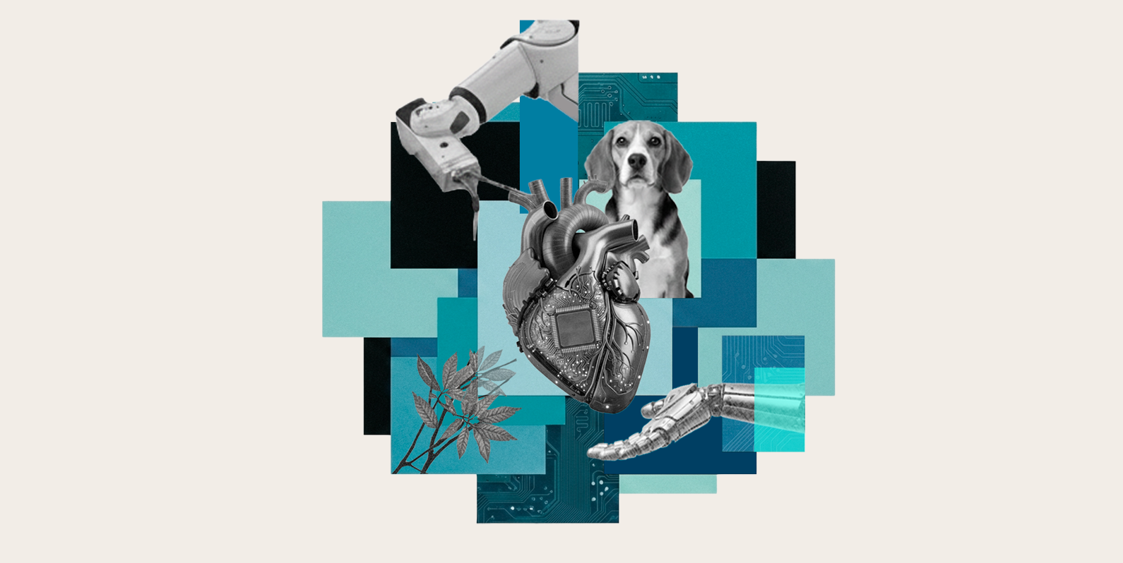 Órgãos em chip e bioimpressão: o futuro dos testes sem animais