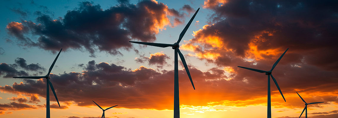 Quatro pontos positivos nas notícias climáticas em 2025