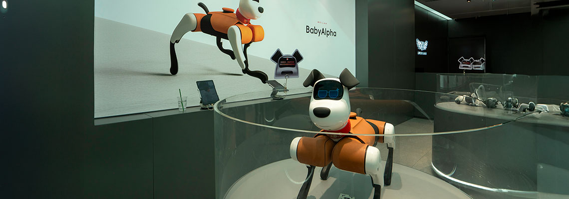 Por que as empresas de tecnologia chinesas se sentem tão otimistas