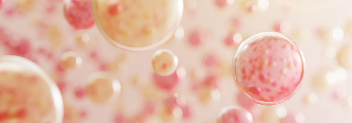 O primeiro teste em humanos de um método de rejuvenescimento começará “em breve