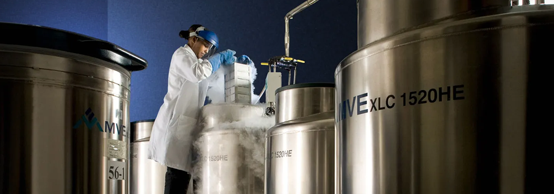 Você congelaria seu corpo para tentar ressuscitar?