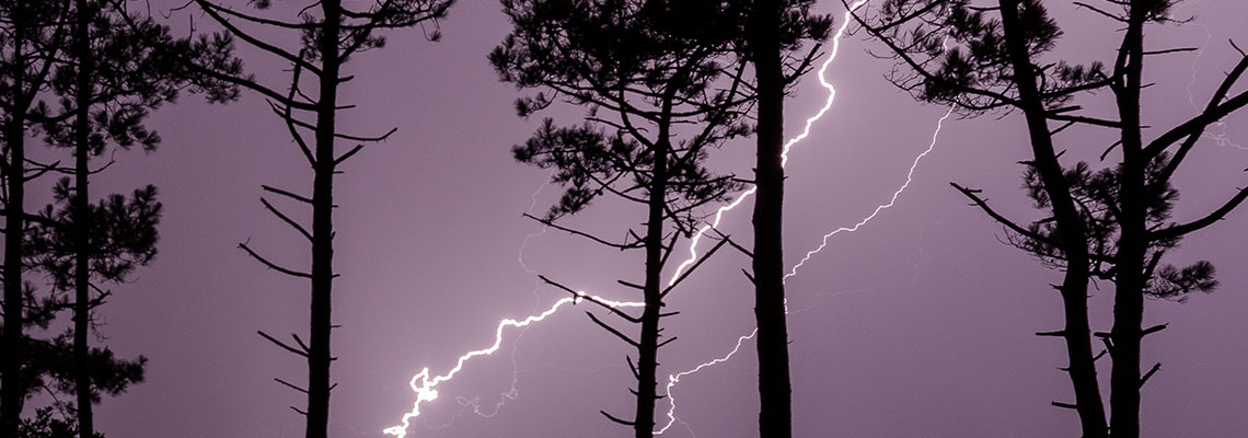 Startup afirma que pode parar raios e evitar incêndios florestais catastróficos