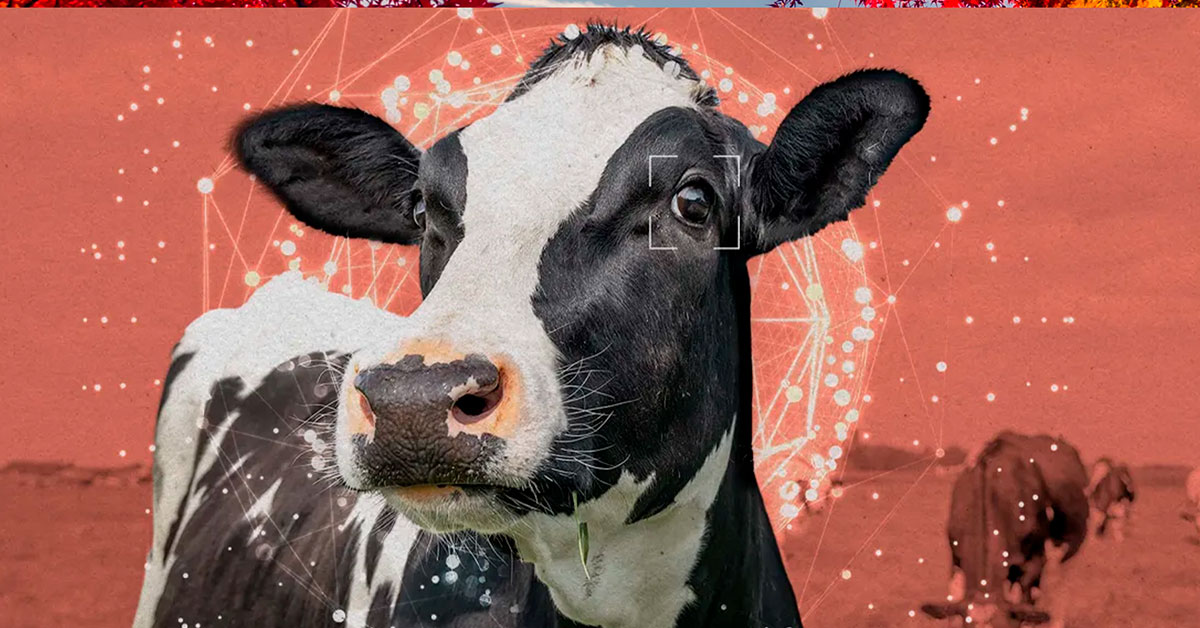 Movimento de bem-estar animal quer recrutar a IA