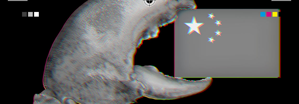 Openclaw virou negócio na China