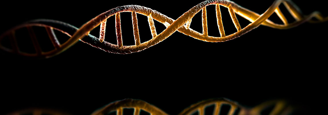 Ninguém sabe se as bactérias-espelho vão nos matar