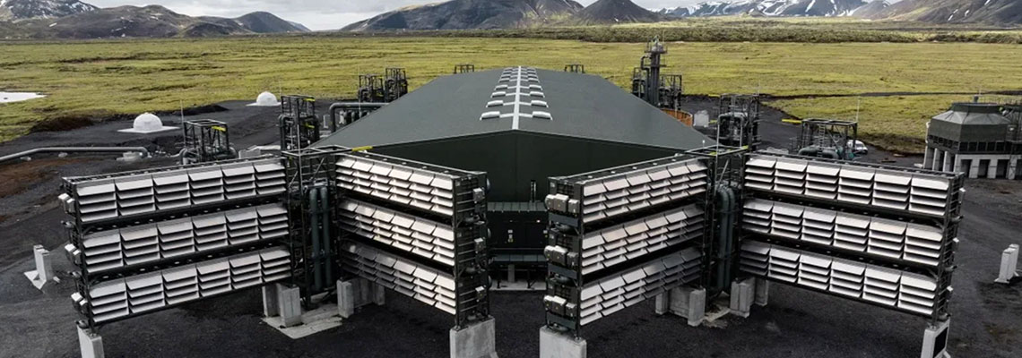 O mercado de remoção de carbono está em risco?