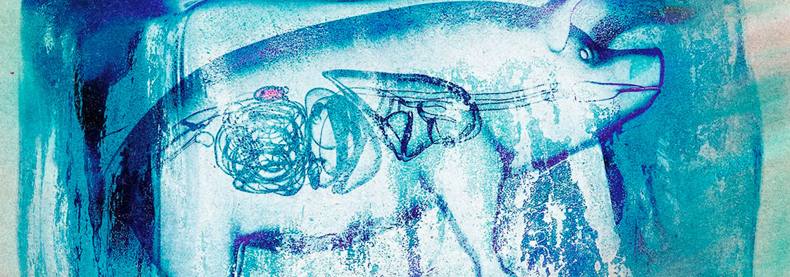 Rins super-resfriados foram transplantados em porcos em uma “conquista histórica”
