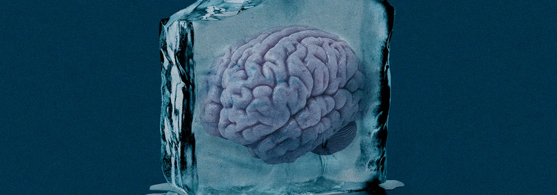 Este cientista reaqueceu e estudou partes do cérebro criopreservado de seu amigo